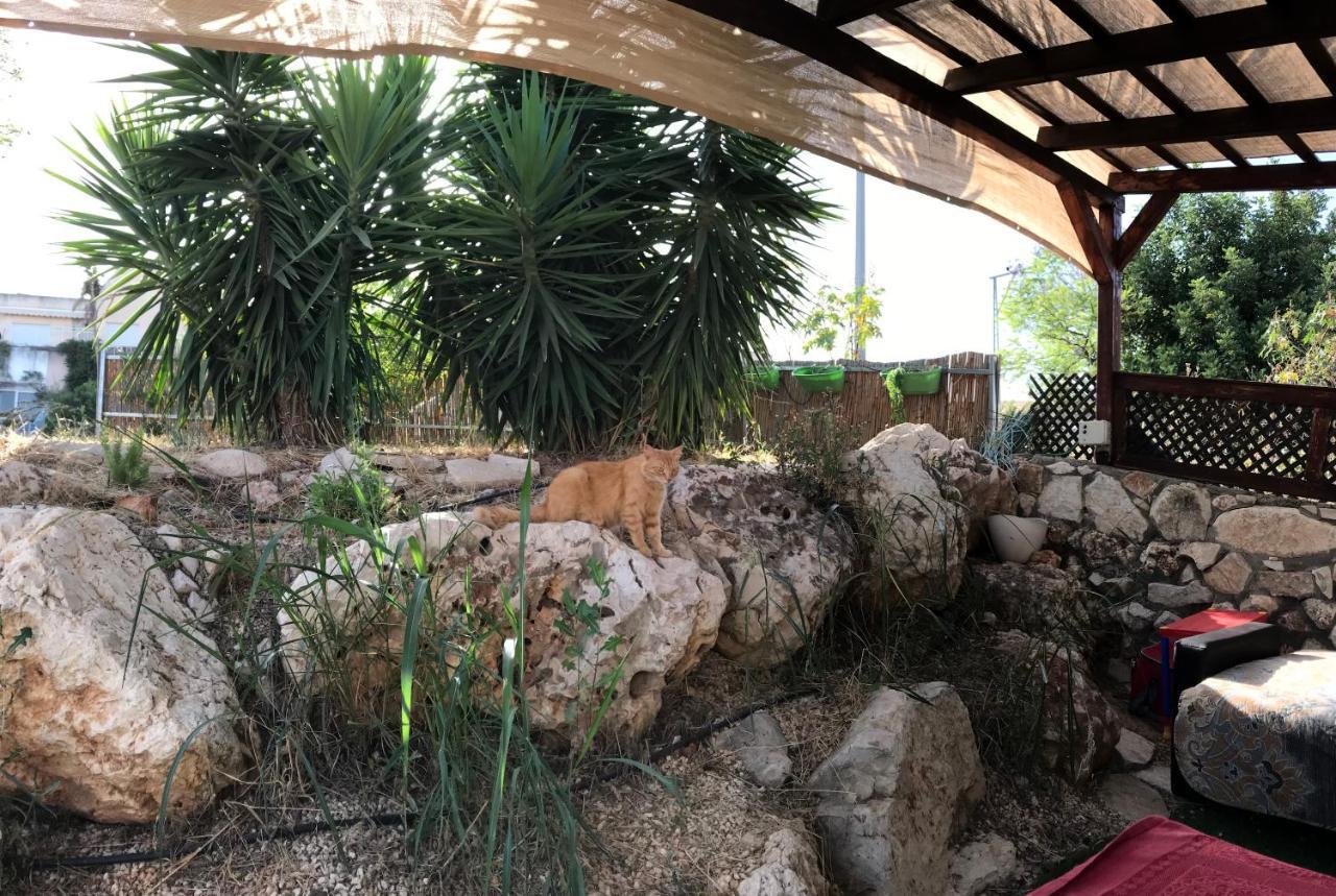 Panorama Kinneret נוף כנרת, צפת Bagian luar foto